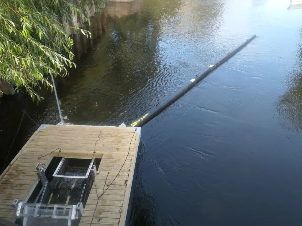 TrashTrawl med läns i en å